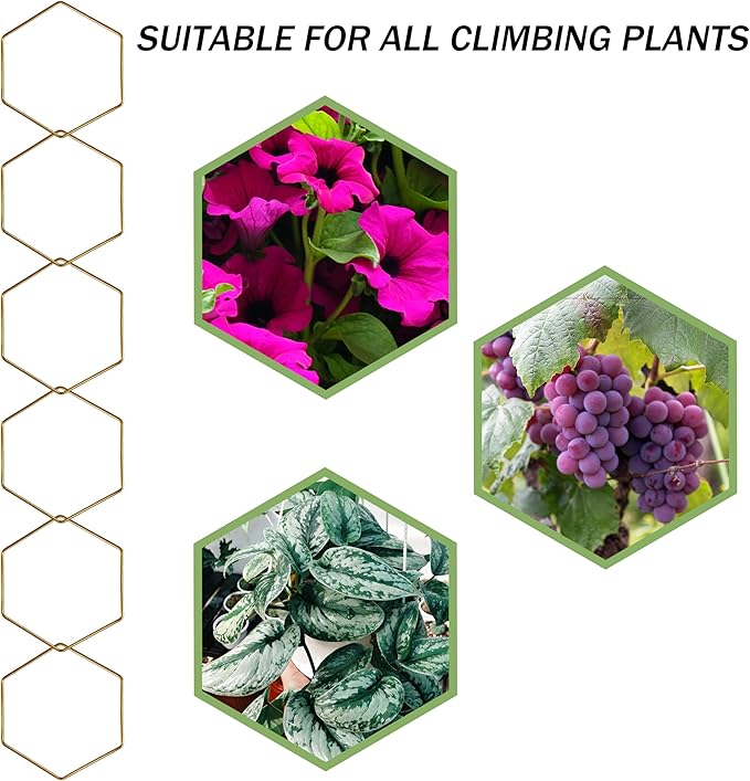 Wall Trellis Indoor, Garden Trellis Plant Accessories Sturdy Wall Trellis for Indoor Climbing Plants, Practical Plant Accessories with Stable Support for Pothos, Ivy. (Gold)