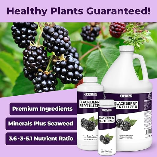 BlackBerry Fertilizer – Liquid Plant Food for Bigger Berries, Better Flowering & Stronger Cane Growth, 32 oz