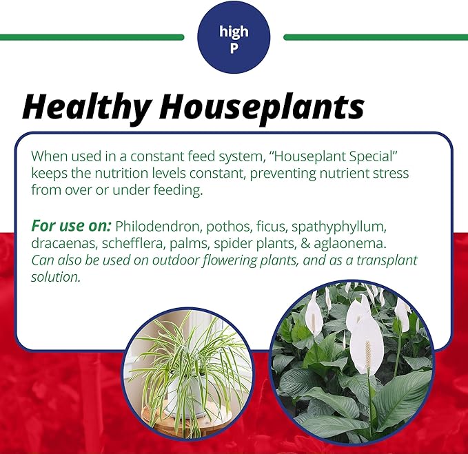 Jack's Classic 15-30-15 Houseplant Special Water-Soluble Fertilizer with Micronutrients to Green-Up and Increase Blooms in Houseplants, 8oz