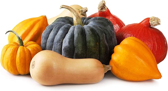 Seeds Colorful Edible Pumpkin Mix 7 Sweet Varieties 20+ Seeds Non-GMO Annual Plant