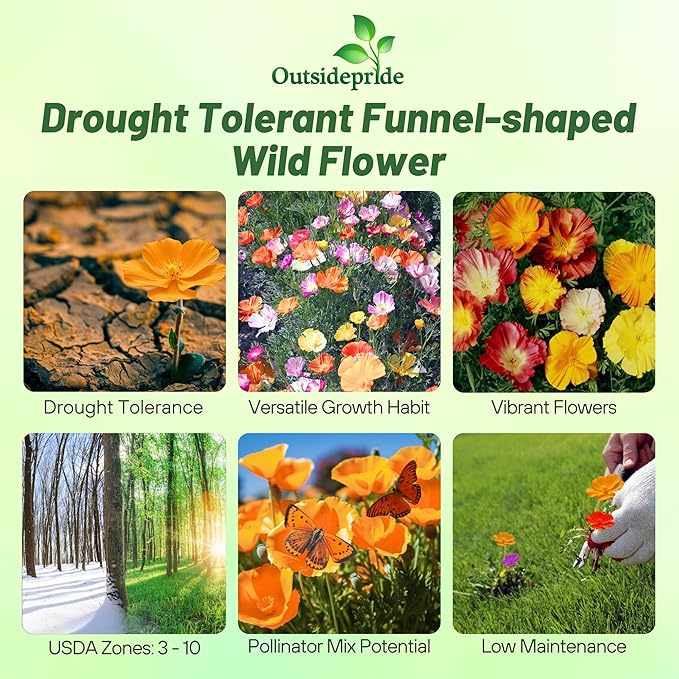 Outsidepride Ballerina Mix California Poppy Seeds - 10000 Pieces Annual, Drought-Tolerant, Self-Sowing Eschscholzia Wildflower Seeds w/Vibrant Color Blooms for Pollinator-Friendly Gardens & Borders