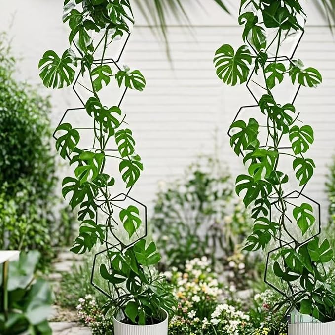 Chain Trellis for Climbing Plants, 18Pcs Metal Climbing Trellis with Hooks, Wall Trellis for Climbing Plants Indoor and Outdoor, Climber Plant Vine Support for Potted Monstera, Pothos, Ivy