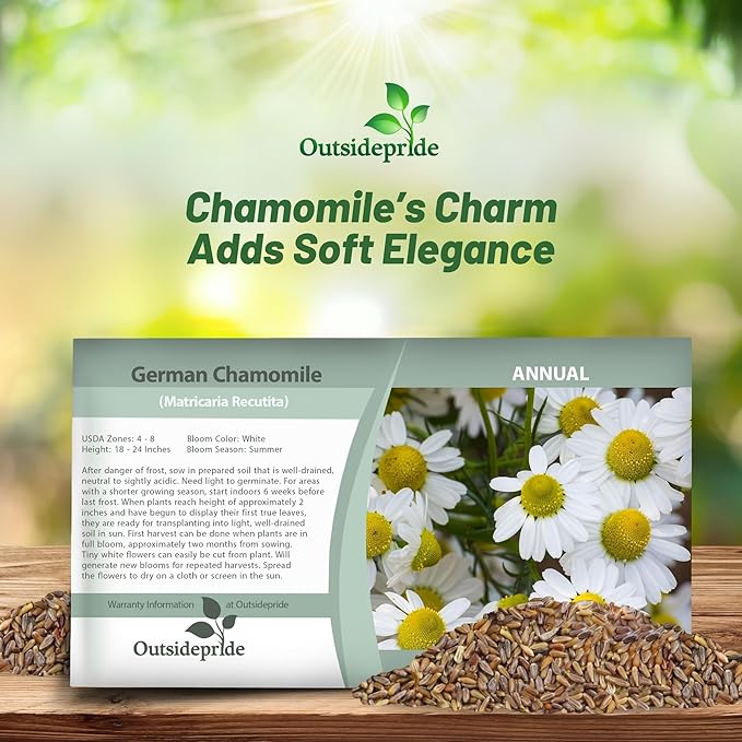 Outsidepride German Chamomile Seeds - 10000 Pcs Annual, Drought Tolerant, Self-Seeding & Versatile, Herb Seeds for Planting Sweet Scented Daisy-Like Blooms, Ideal for Slopes & Pollinator Gardens