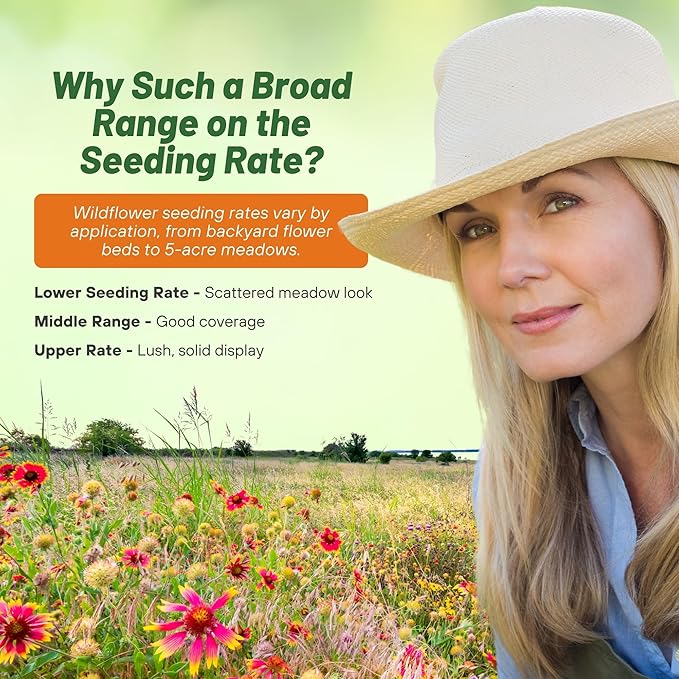 Outsidepride Insectary Wildflower Seed Mix - 5 lbs Combination of Deep-Rooted Perennial & Fast Growing Annual Wildflower Seeds for Attracting Beneficial Insects & Enhancing Biodiversity