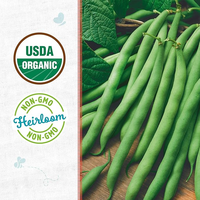 Back to The Roots 100% Organic Seed Packet Blue Lake Bush Bean
