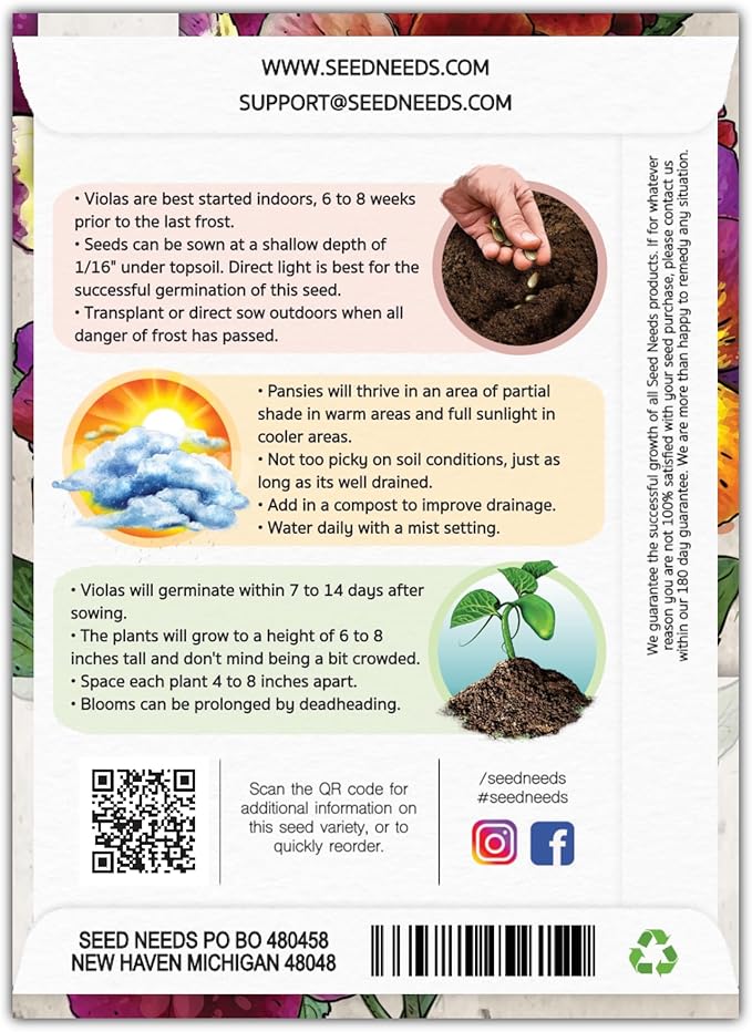 Seed Needs Viola Seeds for Planting Bambini Violas - Heirloom & Open Pollinated Annual Flowers to Plant and Grow an Outdoor Wildflower Butterfly Garden to Attract Pollinators (5 Packs)