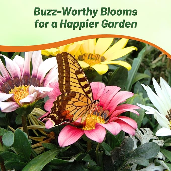 Outsidepride New Day Mixed Gazania Seeds for Planting – 50 Pcs Perennial, Low-Maintenance, Drought-Tolerant Ground Cover Seeds for Vibrant Summer & Fall Flowers, Great for Outdoor Gardens