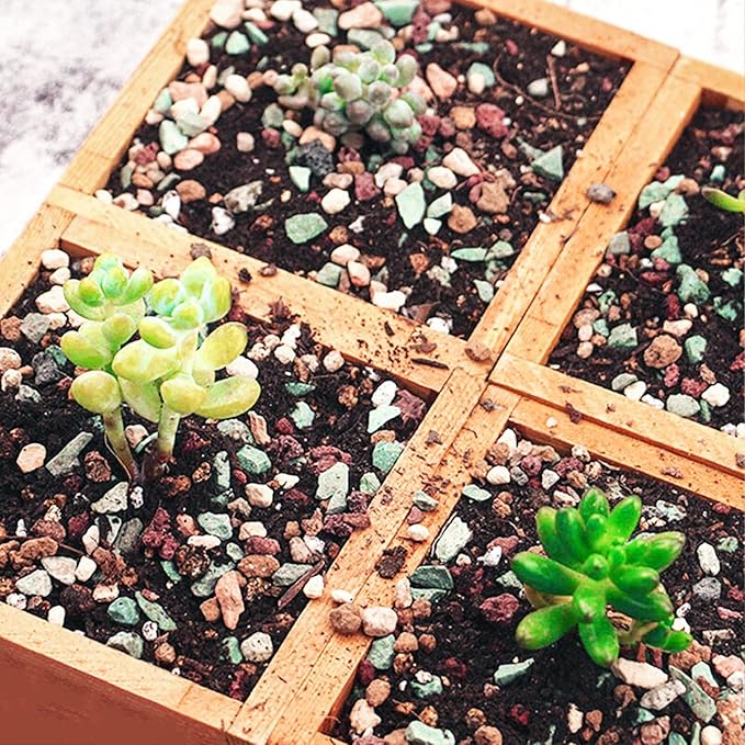 Succulent and Cactus Soil Potting Mix 2.2 LBS, Bonsai Soil Mix Ready to Use, Fast Draining with Added Nutrients