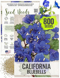 Seed Needs, California Bluebell Seeds - 800 Heirloom Seeds for Planting Phacelia campanularia - Annual Blue Flowers to Plant an Outdoor Butterfly Garden (1 Pack)