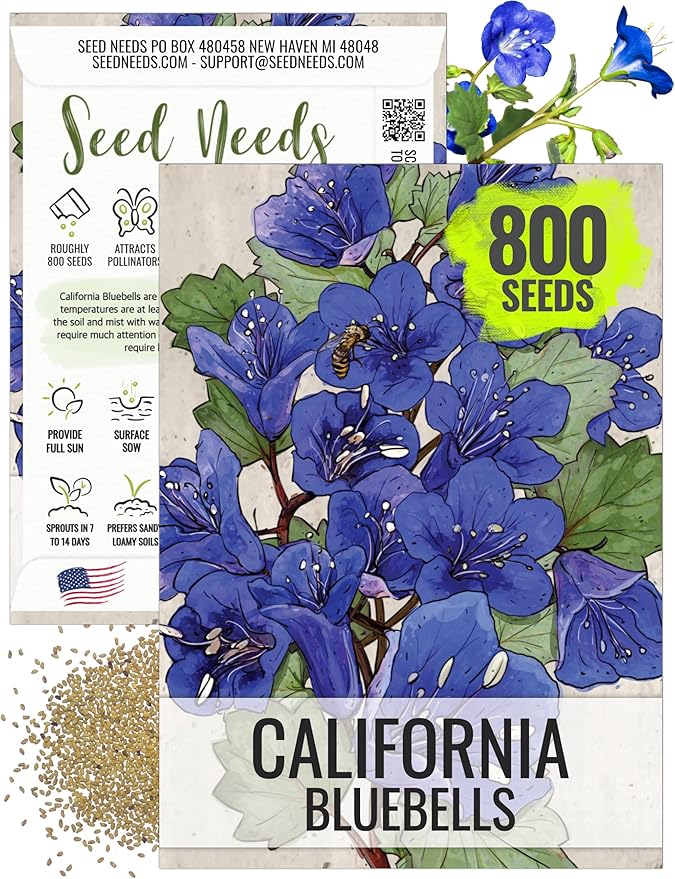 Seed Needs, California Bluebell Seeds - 800 Heirloom Seeds for Planting Phacelia campanularia - Annual Blue Flowers to Plant an Outdoor Butterfly Garden (1 Pack)