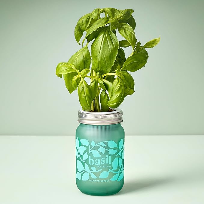Modern Sprout Mason Garden Jar - Self-Watering Hydroponics Growing System Kit with Organic Herb Seeds - Jar Planter for Indoor Herb Garden - Seed Starter Kit - Easter Gifting -Basil+Lavender+Sunflower