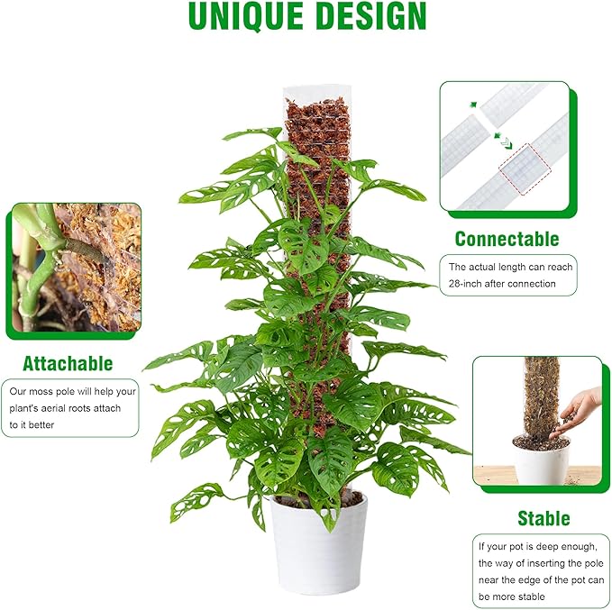 Bonviee 2 Pcs 24 Inch + 2 Pcs 36 Tall Plastic Moss Poles for Monstera – Large D-Shaped Climbing Plant Support, Works with Sphagnum Moss, Includes 2 Garden Ties