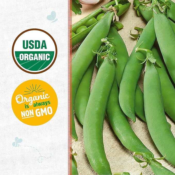 Back to The Roots 100% Organic Seed Packet - Pea 'Snap Sugar Daddy' 8.4g