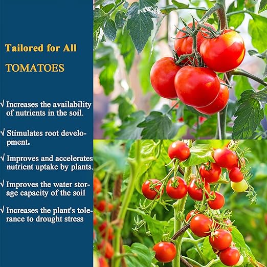 10oz Organic Probiotic Tomato Fertilizer - Microbial Vegetable Nutrient Solution for Strong Roots, Green Leaves & High Yield - 1:400 Concentrate