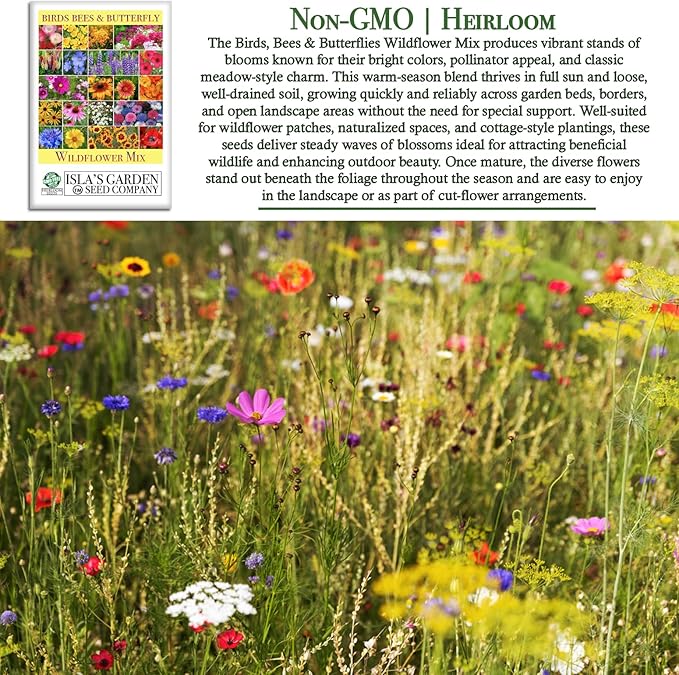 Birds, Bees & Butterflies Wildflower Mix – 500+ Seeds/PK by Isla’s Garden Seeds, Colorful Variety of Pollinator-Friendly Blooms, Supports Local Wildlife, Perfect for Garden Beds, Borders & Meadows