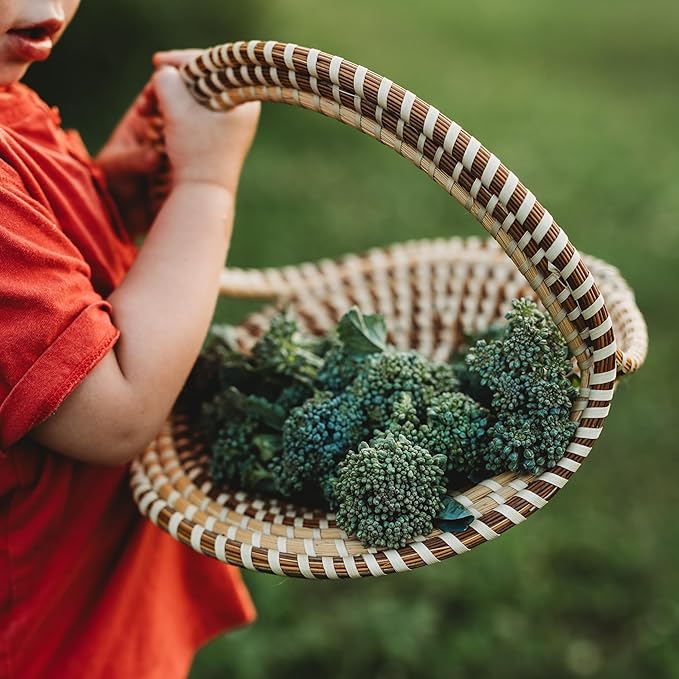 Di Cicco Broccoli (De Cicco)- 100 Seeds - Heirloom & Open-Pollinated Variety, USA-Grown, Non-GMO Vegetable Seeds for Planting Outdoors in The Home Garden, Thresh Seed Company