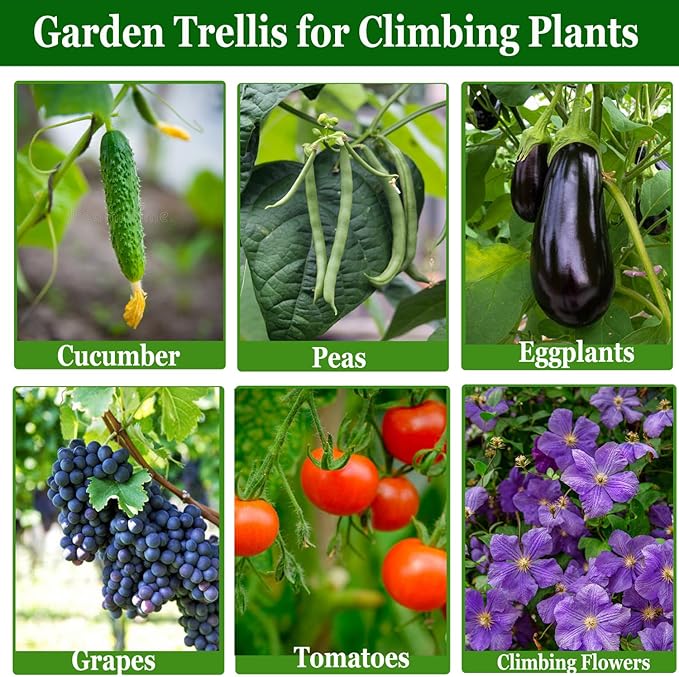 Small Size Garden Cucumber Trellis for Climbing Plants Outdoor, 47x16 inch A Frame Cucumber Trellis for Garden Raised Bed, Plant Support for Vegetable Vine Pea Bean, with Netting