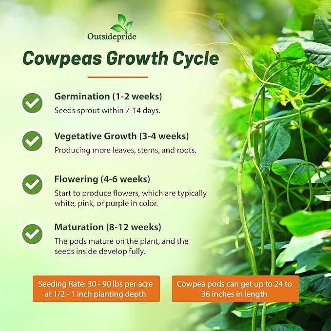 Outsidepride Cowpeas Seeds - 10 lbs Heat & Drought-Tolerant, Nutrient-Rich Cowpea Seeds for Cover Crops, Food Plots, Forage - Ideal for Planting, Enhancing Soil Health, and Improving Soil Fertility