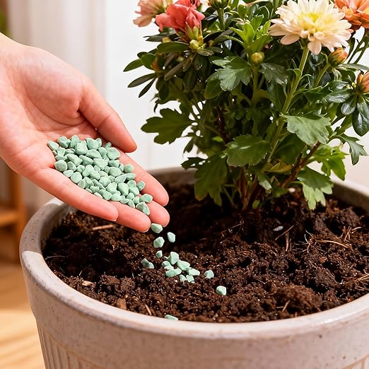 Ferrous Sulfate Granules 20% Iron, Soil Acidifier for Lawns & Plants | Fast Greening for Grass, Turf, Shrubs, Trees, Flowers & Gardens | Corrects Iron Deficiency & Yellowing (8 oz)