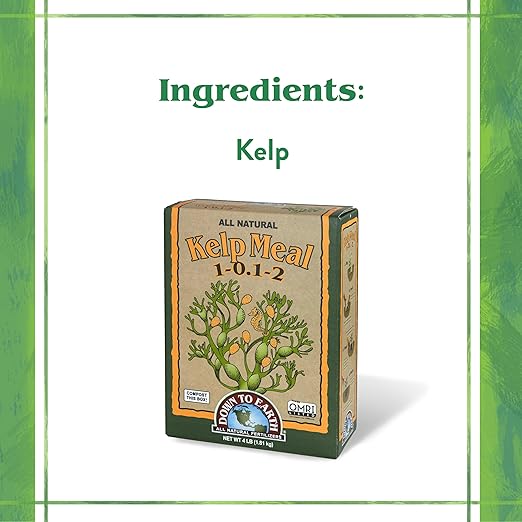 Down To Earth All Natural Fertilizers Organic Kelp Meal - Plant Food with Seaweed (Ascophyllum nodosum), Potassium and Trace Minerals 1-0.1-2, 4 lb