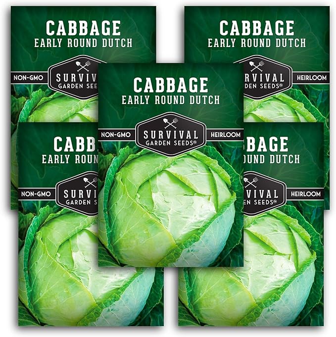 Early Round Dutch Cabbage Seeds for Planting | Heirloom Non-GMO Cold Hardy Variety for Spring & Fall Gardens - Storage & Sauerkraut Cabbages - Survival Garden Seeds (5 Packs)