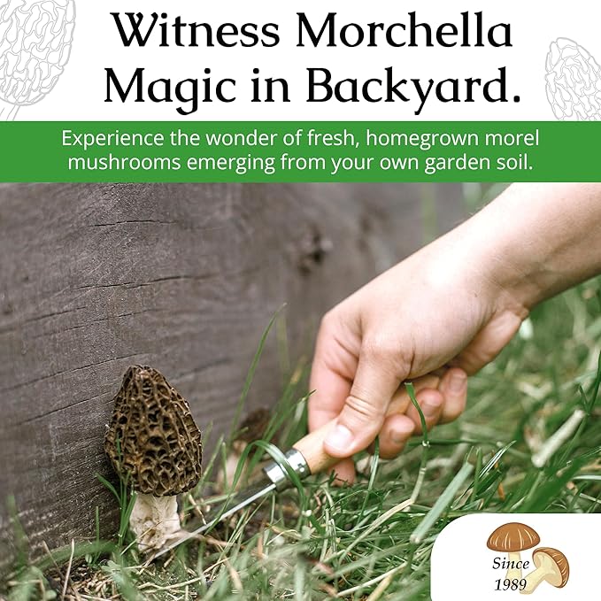 MOREL HABITAT KIT® Morel Mushroom Growing Kit (Morchella), Compatible with Any Soil Type Across The U.S., Outdoor Garden & Backyard Cultivation Set with Full Instructions - Made in The USA