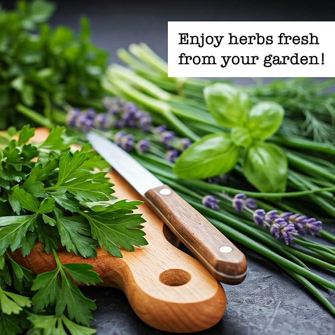 Ferry-Morse Kitchen Herb Organic Seed Variety Pack - 6 Pack