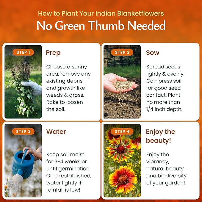 Created By Nature Indian Blanketflower Seeds, 5,640 Perennial Seeds