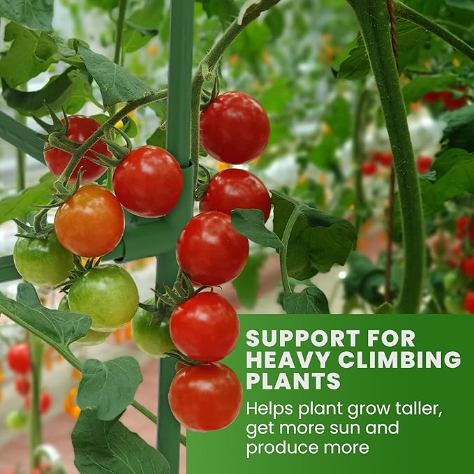 Tomato Cage Square - Large Trellis Stakes and Plant Support Structures for Vegetables and Climbing Plants - Tall Tomato Cages for Garden, Pots, Raised Garden Bed Outdoor Supplies (3 Pack - Up to 58")