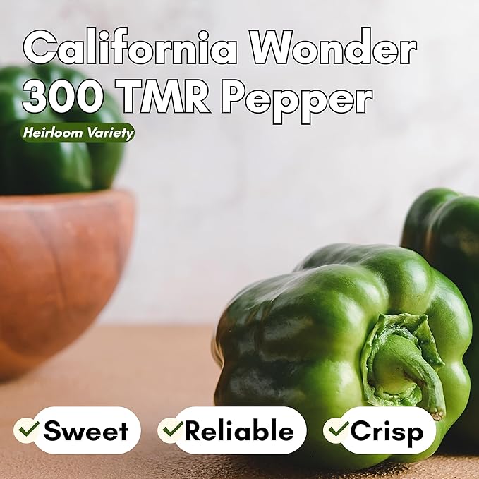 California Wonder 300 TMR Bell Pepper Seeds for Planting - Heirloom, Non-GMO Sweet Bell Peppers, Thick-Walled & Reliable, Home Garden Seeds | Woods Creek Seeds
