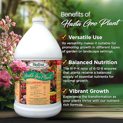 Medina HastaGro Plant Food 6-12-6 Liquid Fertilizer - Natural Plant Fertilizer for Healthy Growth - Food for Plant Nutrients & Vibrant Blooms - Promotes Root Development & Stronger Plants (1 Gal)