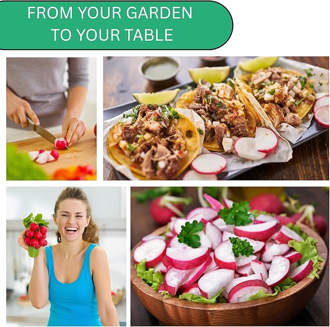 Woods Creek Seeds: Cherry Belle Radish Seeds for Planting - Over 450 Heirloom Non-GMO Radish Seed Pack - Premium Radishes for Sprouting - Fast-Growing Radishes for Your Vegetable Garden
