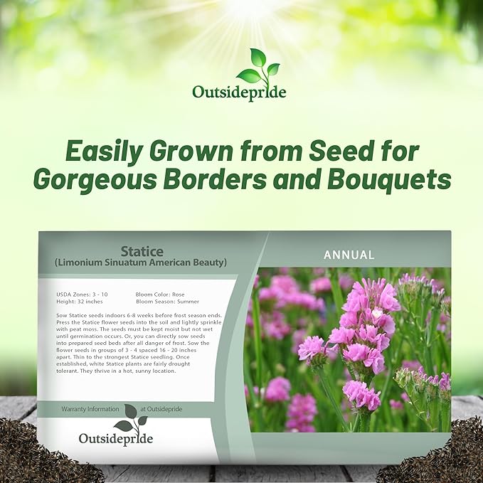 Outsidepride Rose Statice Flower Seeds - 2000 Pcs Annual Easy to Grow Drought Tolerant Flower Seeds for Floral Arrangements, Borders, & Pollinator Garden