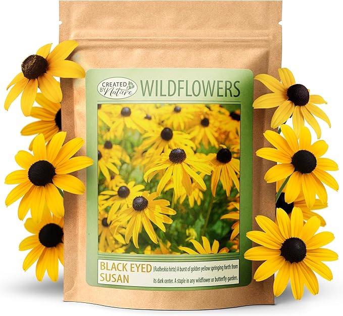 Created By Nature Black-Eyed Susan Wildflower Seeds, 55,000 Non-GMO Yellow Daisy Seeds