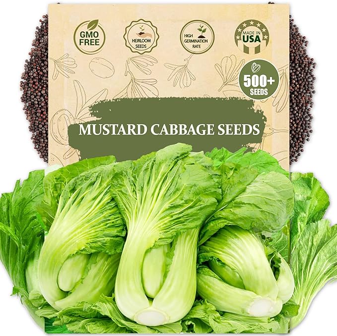 Rare Mustard Cabbage Seeds – 500 Seeds Heirloom Non-GMO, Fast-Growing Mustard Plant Seeds for Home Garden, Microgreens, and Cooking - Original Bold & Peppery Flavor