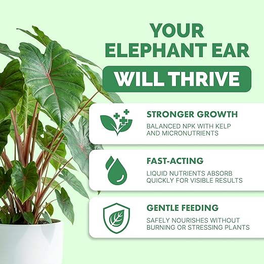 Elephant Ear Fertilizer – Liquid Plant Food for Bigger Leaves, Lush Growth & Stronger Roots, 8 oz