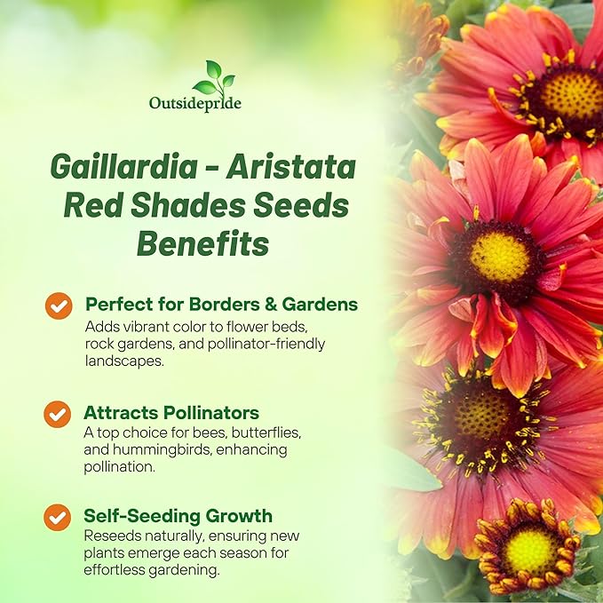 Outsidepride Gaillardia Aristata Arizona Red Shades Blanket Flower Seeds for Planting - 100 Pcs Perennial Wildflower Seeds, Drought-Tolerant for Xeriscaping, Pollinator Gardens, or Wildflower Mixes