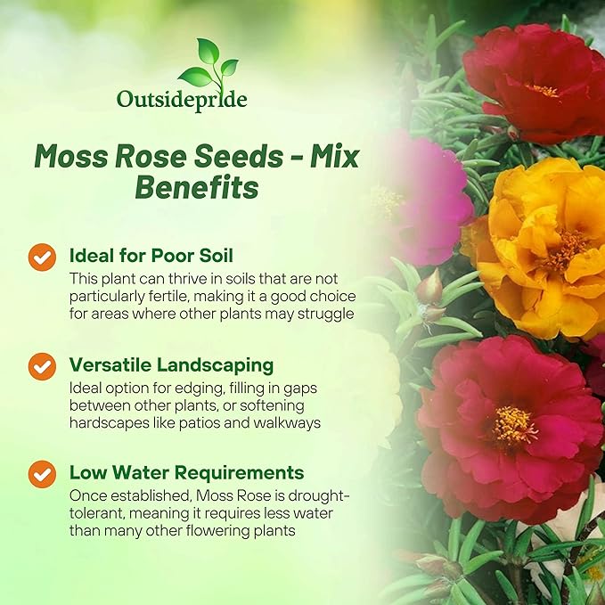Outsidepride Mixed Moss Rose Seeds - 5000 Pcs Annual, Drought & Heat Tolerant, Pollinator Friendly Ground Cover Seeds for Planting w/Vibrant Blooms & Succulent Foliage, Ideal for Xeriscaping