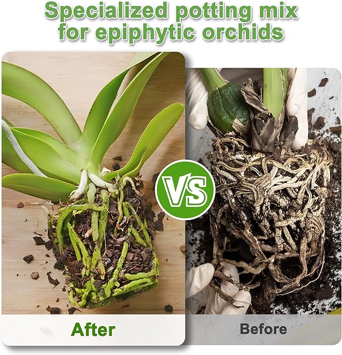 Orchid Bark Potting Mix 3QT - Orchid Soil Mix with Pine Bark, Perlite, Sphagnum Moss & Leca Clay, Fast-Draining Mix for Repotting Phalaenopsis & All Epiphytic Orchids, Indoor Orchid Mulch