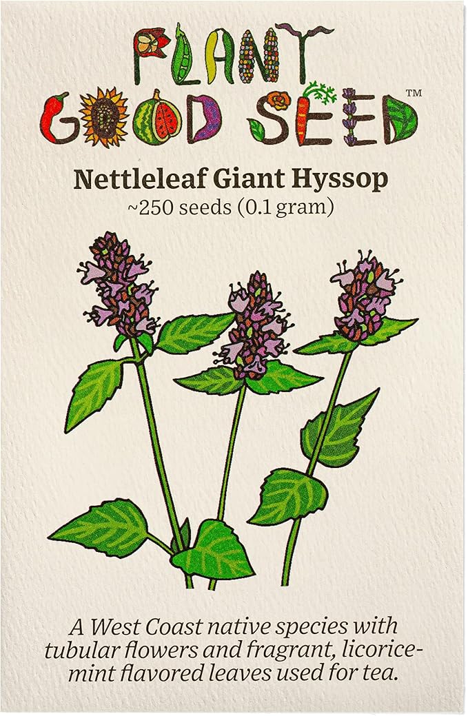 Plant Good Seed Plant Good Seed Nettleleaf Giant Hyssop Seeds - Pack of 250, Heirloom Seeds for Planting Flowers - Gardening Supplies, Wildflower, Flower, Herb Garden, from USA