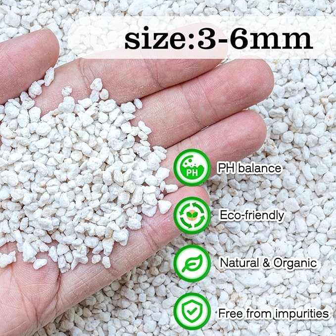 Perlite,Premium Oraganic Perlite Soil Amendment for Plant,Porous Volcanic Rock, Aeration & Drainage Enhancer, Ideal for Succulents, Flower Plants, Hydroponics-1 QT