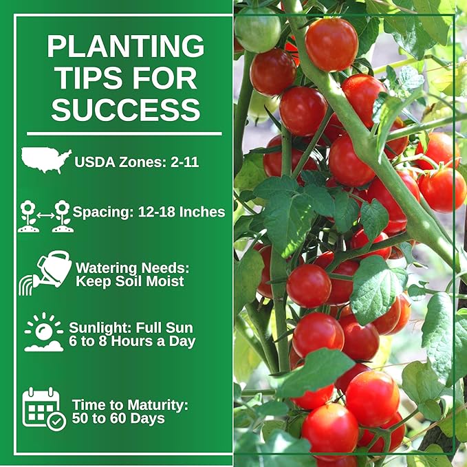 TKE Farms & Gardens - Tiny Tim Tomato Seeds for Planting, 60+ Non-GMO Heirloom Seeds, Compact Cherry Tomatoes for Small Spaces, Ideal for Containers, Indoor & Outdoor Gardens, Instructions Included