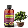 𝐏𝐑𝐄𝐌𝐈𝐔𝐌 Liquid Silica Plant Supplement - 8oz (250mL) - Avocado Plants Liquid Silica Boost Fertilizer - Stronger Stems & Healthy Leaves for Indoor & Outdoor Avocado Trees (Makes 45 Gallons)
