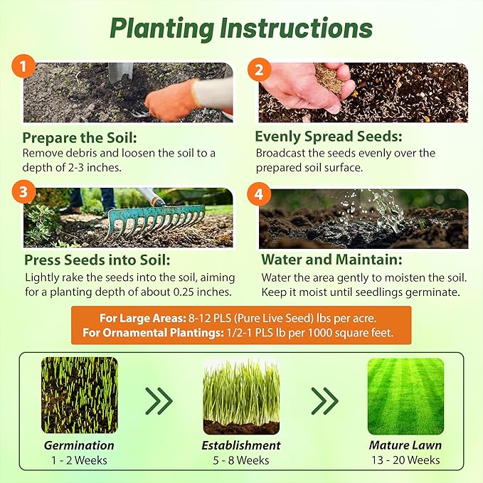 Outsidepride Indian Native Grass Seed - 5 lbs. Perennial, Low Maintenance, Drought-Tolerant Prairie Grass Seed for Wildlife Habitat, Livestock Forage, Ornamental Landscaping & Erosion Control