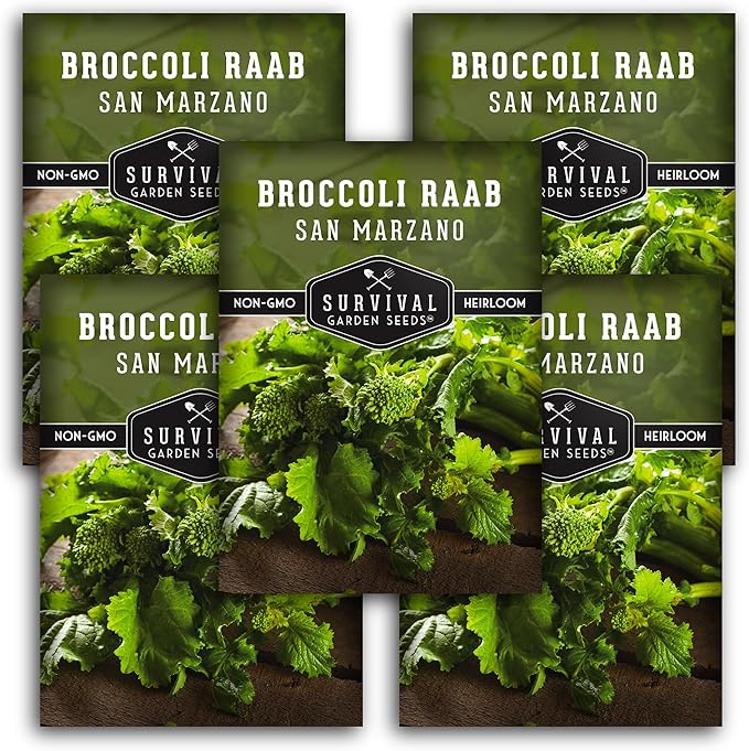 San Marzano Raab Broccoli Rabe Seeds for Planting – Italian Heirloom Rapini Variety, Fast-Growing Cool-Season Greens, Non-GMO High Yield Vegetable Garden Favorite – Survival Garden Seeds (5 Packs)
