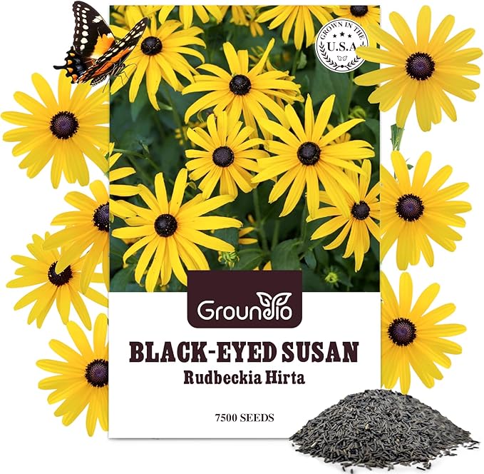 Black Eyed Susan Seeds, Perennial Rudbeckia Hirta Yellow Flower for Attract Pollinators, Non-GMO, Heirloom Wildflowers Seeds, USDA Zone 3-9, 2g