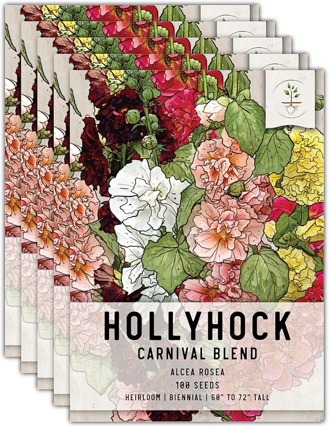 Seed Needs, Mixed Carnival Hollyhock Seeds - Heirloom Seeds for Planting Alcea rosea - Biennial Wildflower that Attracts Pollinators to the Garden (5 Packs)