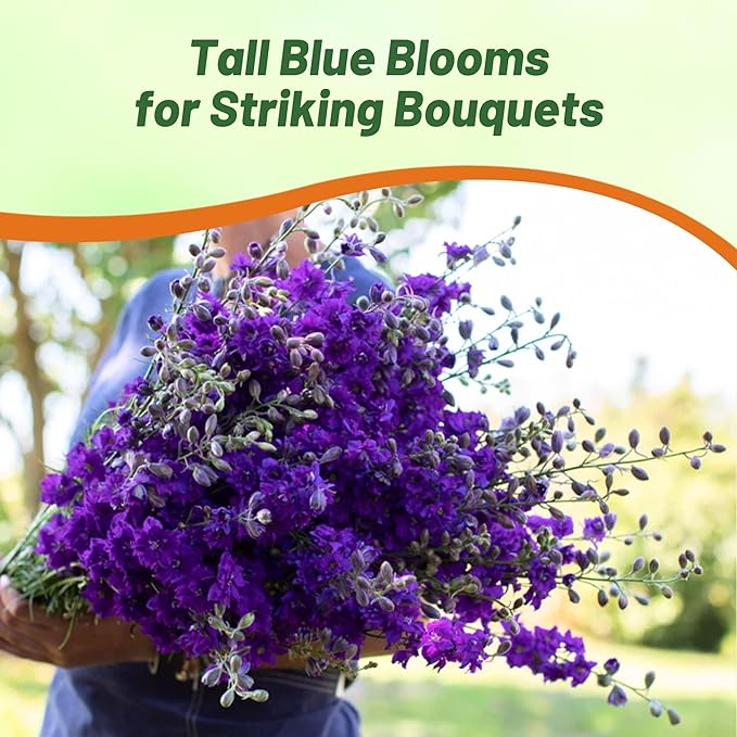 Outsidepride Delphinium Blue Larkspur Seeds for Planting Outdoors - 1000 Pcs Annual, Self-Seeding, Heat & Drought Tolerant Wildflower Seeds, Colorful Blooms for Flower Arrangement & Pollinator Garden