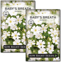 Sow Right Seeds - Annual Baby’s Breath Seeds for Planting - Non-GMO White Flowers Heirloom Packet with Instructions to Plant in Your Home Garden - Snow Like Blooms - Fresh and Dried Cut Flower (2)