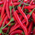 Cayenne Pepper Seeds for Planting Outdoors | Non GMO Heirloom Seed Packets | Full Planting Instructions to Plant & Grow Vegetables in Home Garden | 100 Cayenne Pepper Seeds Per Packet, 5 Packets